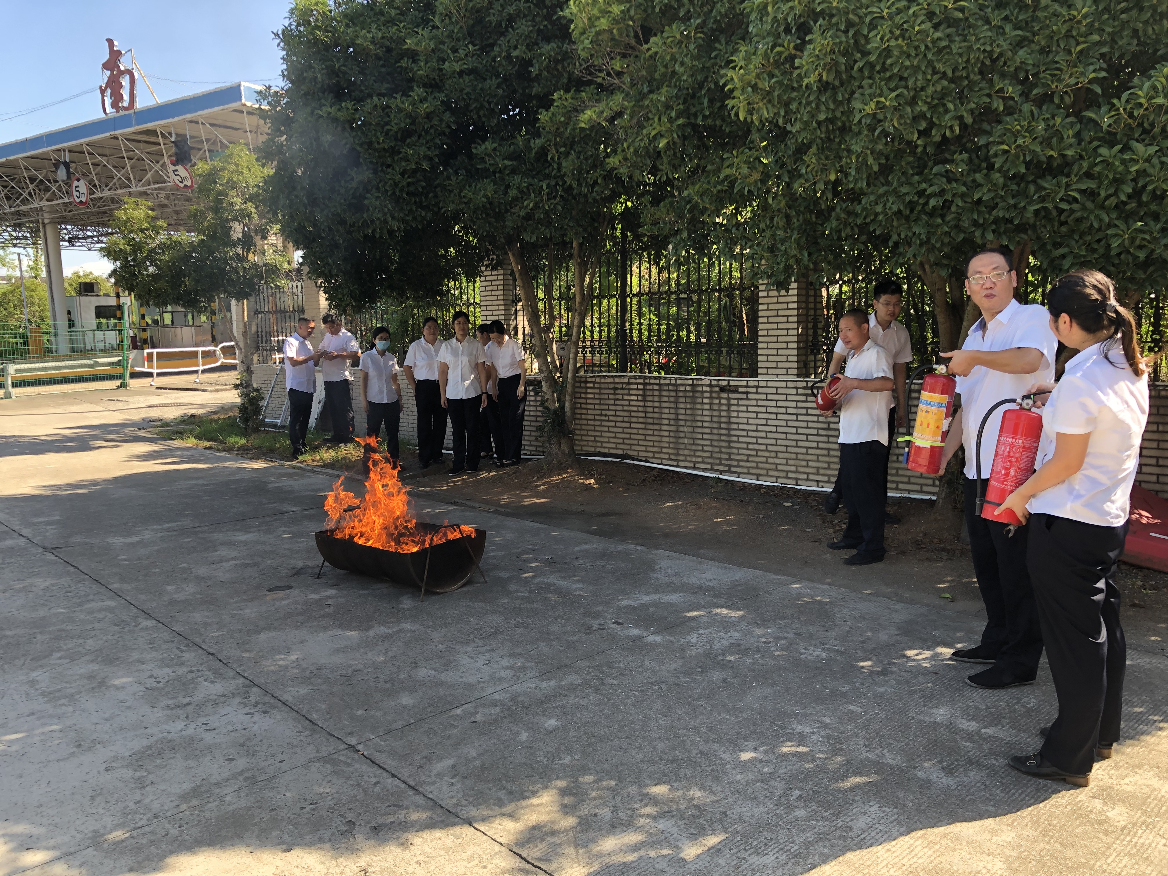 1661499170507222.jpg 照片1沈芬芳拍攝.jpg