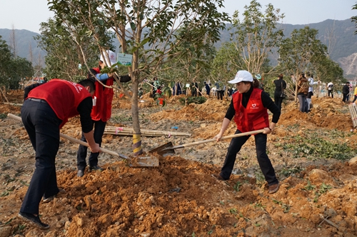 臺(tái)州所 植樹現(xiàn)場3_副本.jpg